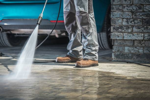 Grand Meadow, MN Pressure Washing Pros