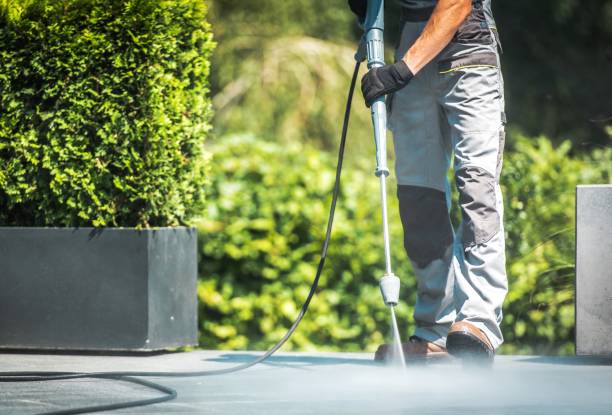 Best Factory Floor Cleaning  in Grand Meadow, MN