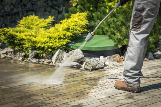 Best Gutter Cleaning  in Grand Meadow, MN